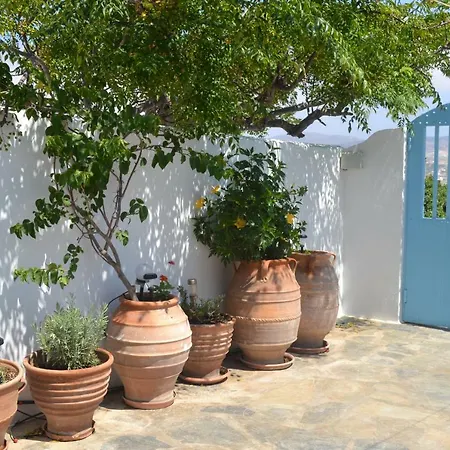 Stella's * Mykonos Town